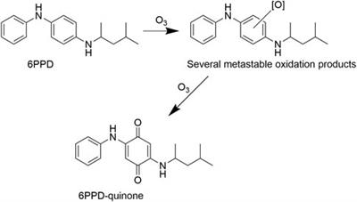 Presence of 6PPD-quinone in runoff water samples from Norway using a new LC–MS/MS method